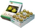 2025年 山形のラフランス　5kg　化粧箱入　12玉　( 5L )　最高級贈答用