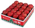 2025年山形県朝日町産　ふじりんご 5kg　秀品20玉入