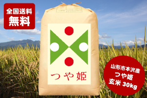 【山形県産特別栽培米】 つや姫 玄米 30kg 令和4年産 新米 (全国送料無料)